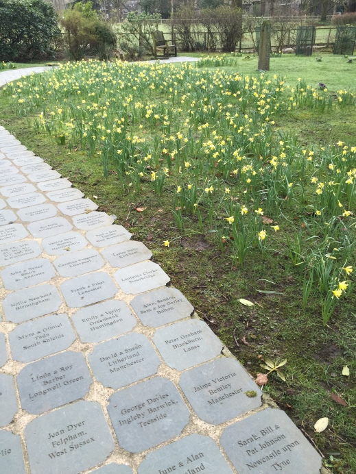 Grasmere Daffodil Garden