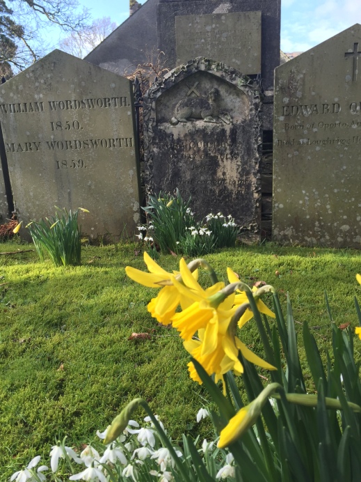 Daffodils and snowdrops